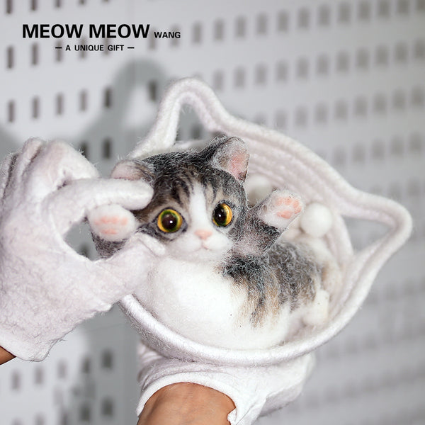 B06:Super Cute Fluffy And Sticky Kitten