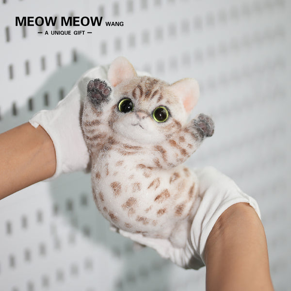 B16:The Nobleman Of Cats - Bengal Leopard Cat Snow Leopard.