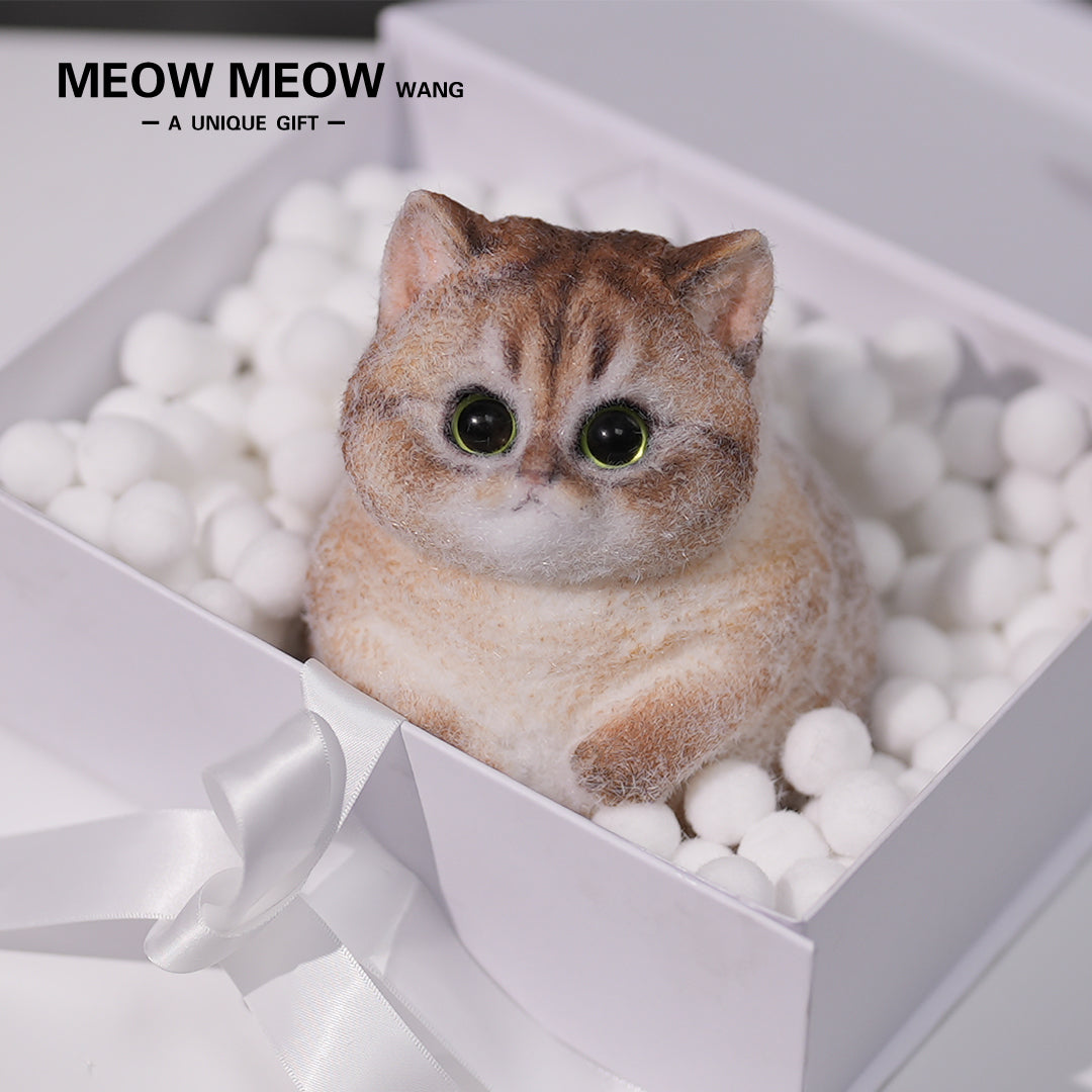 C05:Cute Cat With Green Eyes