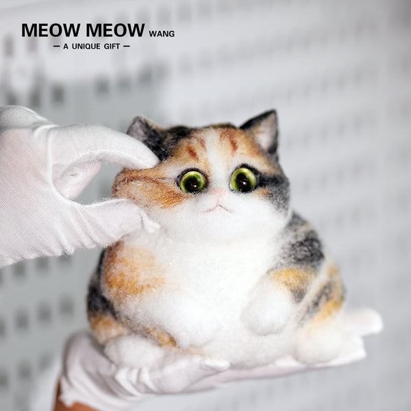 C30:The New Chubby Three-Flowered Cat
