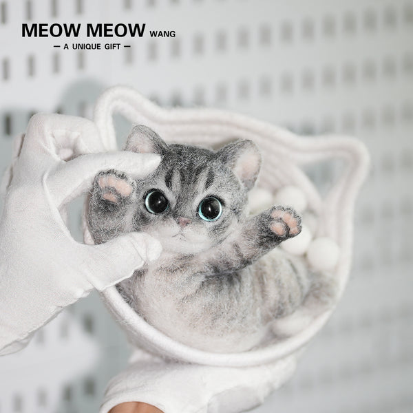 B11:Skinny Cat With Pink Paws And Blue Eyes