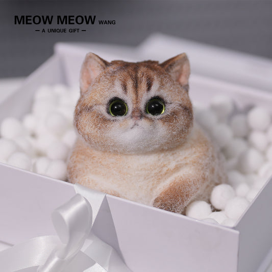 C05:Cute Cat With Green Eyes