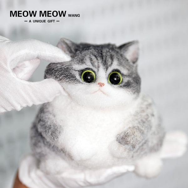 C33:Raccoon Cat With White Gloves And Green Eyes.