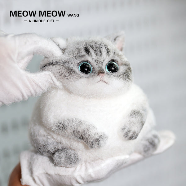 C28:Cute Little Tiger Cat