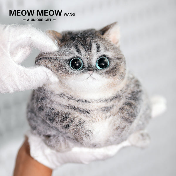 C34:Cute Chubby Black Brown Tabby Cat