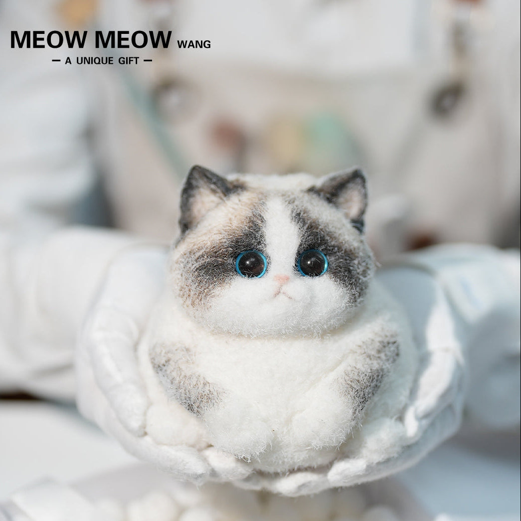 C36:Chubby Elf Ragdoll Cat – Squishy Wang Diy