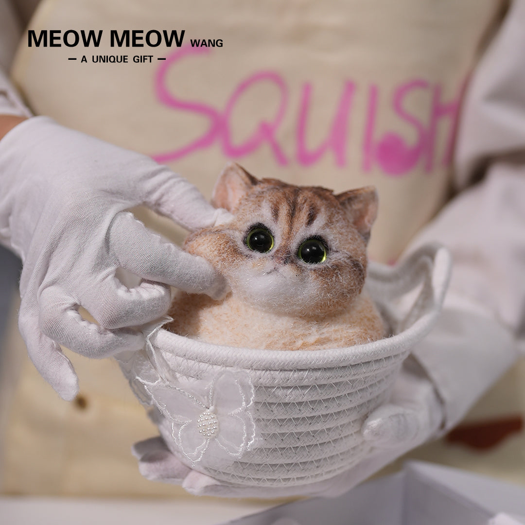 C05:Cute Cat With Green Eyes