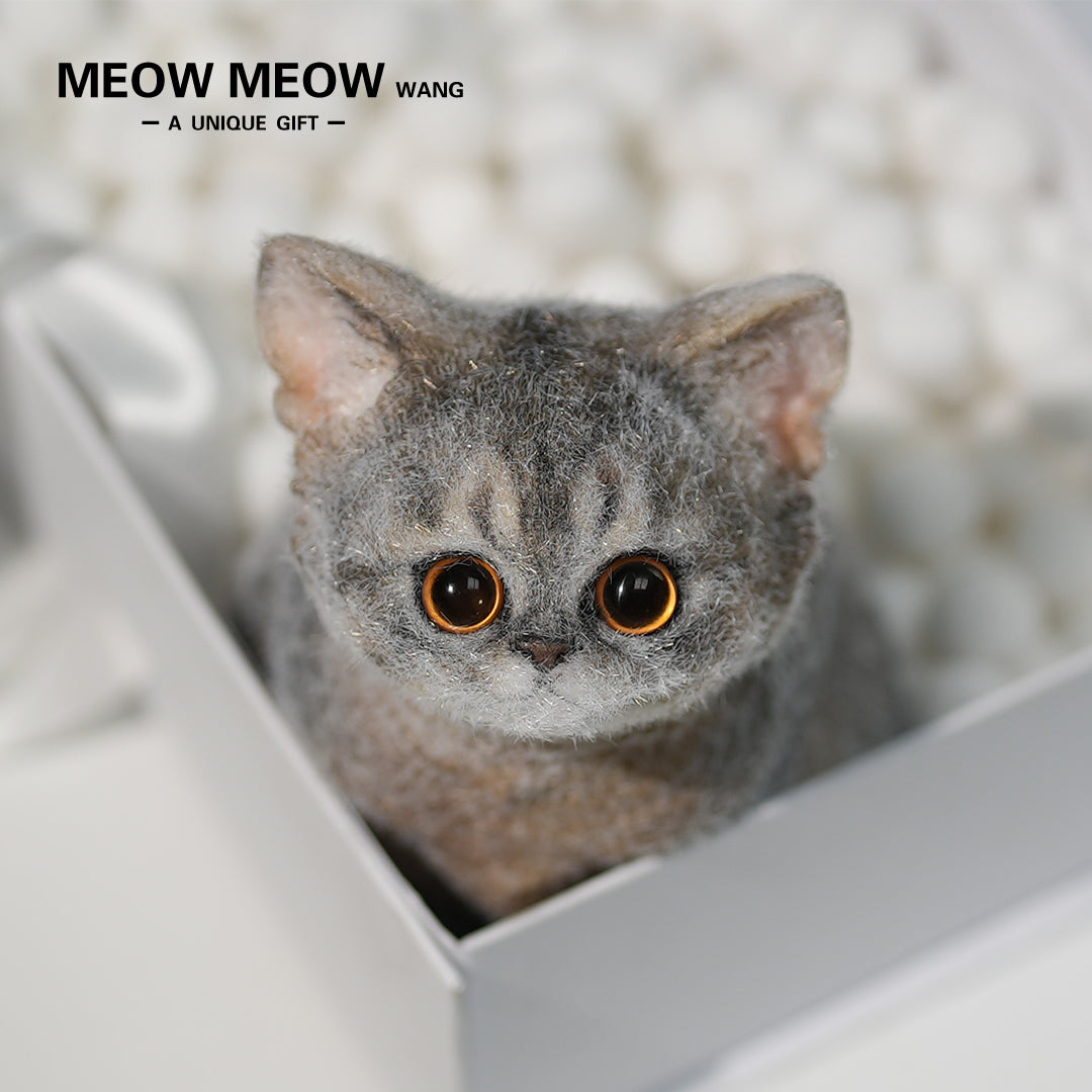 B08:Cute new Abby cat