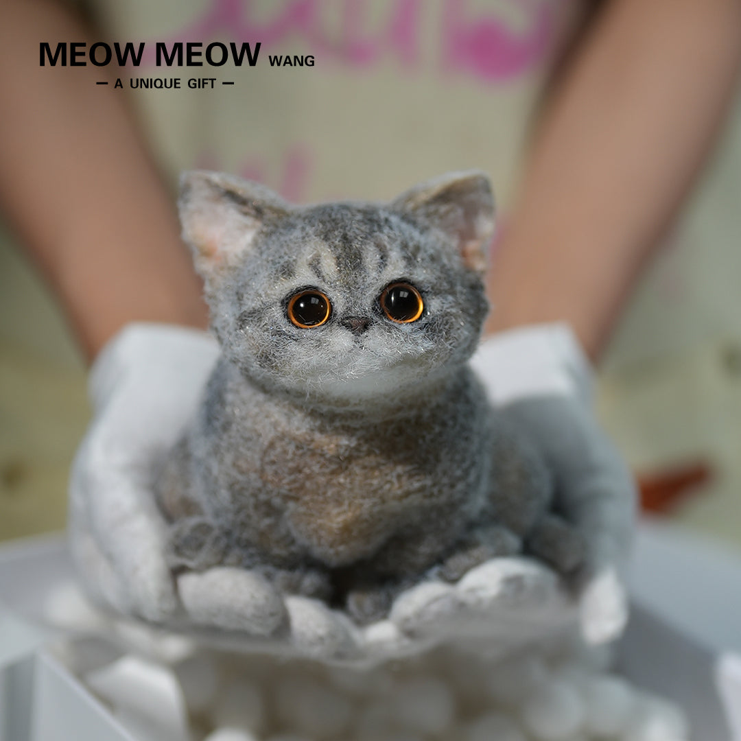 B08:Cute new Abby cat