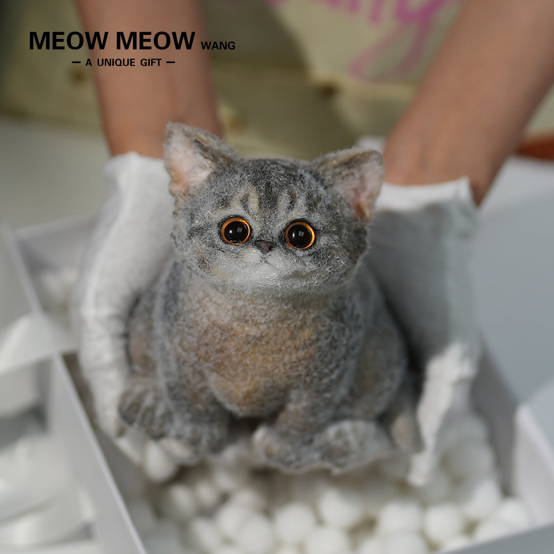 B08:Cute new Abby cat