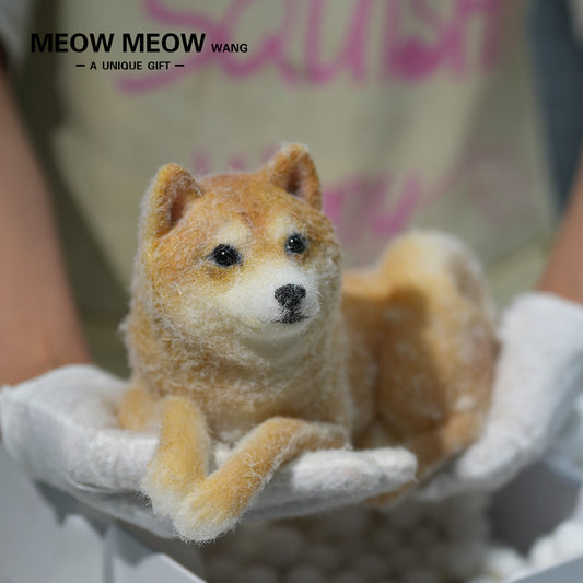 D004:Handsome Shiba Inu