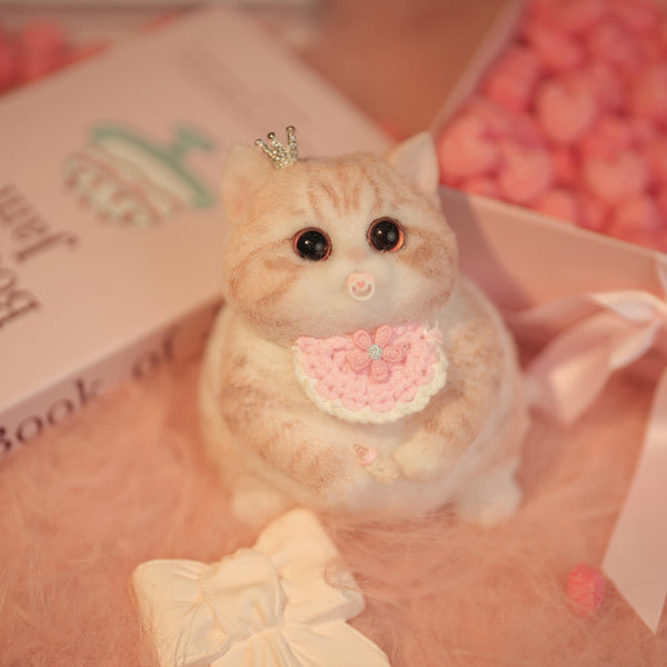 C40:Cute Kitten With A Pacifier.