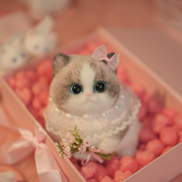 C39:A Chubby Ragdoll Cat Holding Flowers