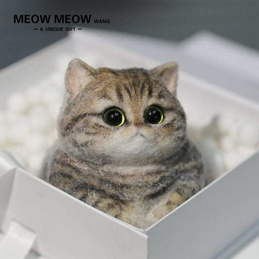 C06:Chubby Yellow-Green Raccoon Cat