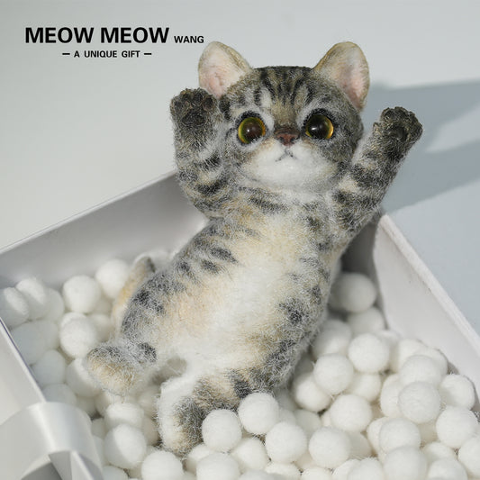 B05:Handsome Yellow-Green Eyed Cat.