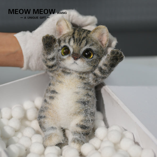 A09:Handsome Yellow-Green Eyed Cat