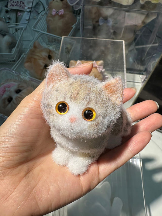 A14: One small orange squishy cat with orange eyes