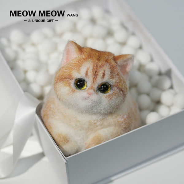 C19:A Round And Chubby Pumpkin Cat