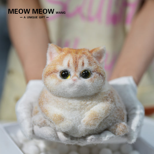 C02: Cute Chubby Squishy Kitty with Pacifier :D