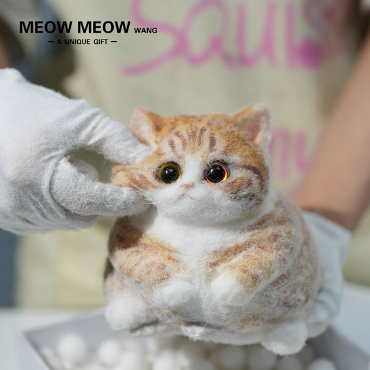 C08:Super Cute Fluffy Orange Cat