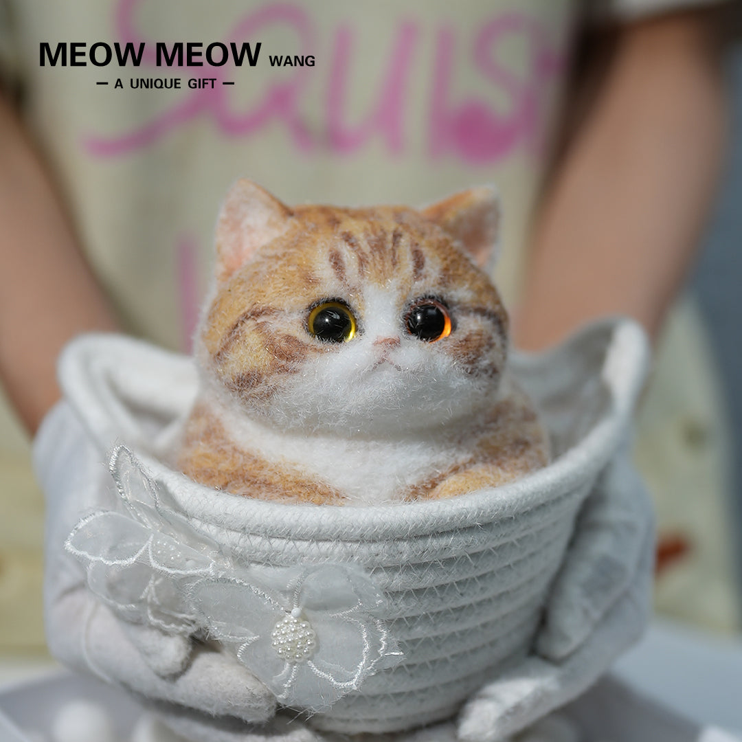 C08:Super Cute Fluffy Orange Cat