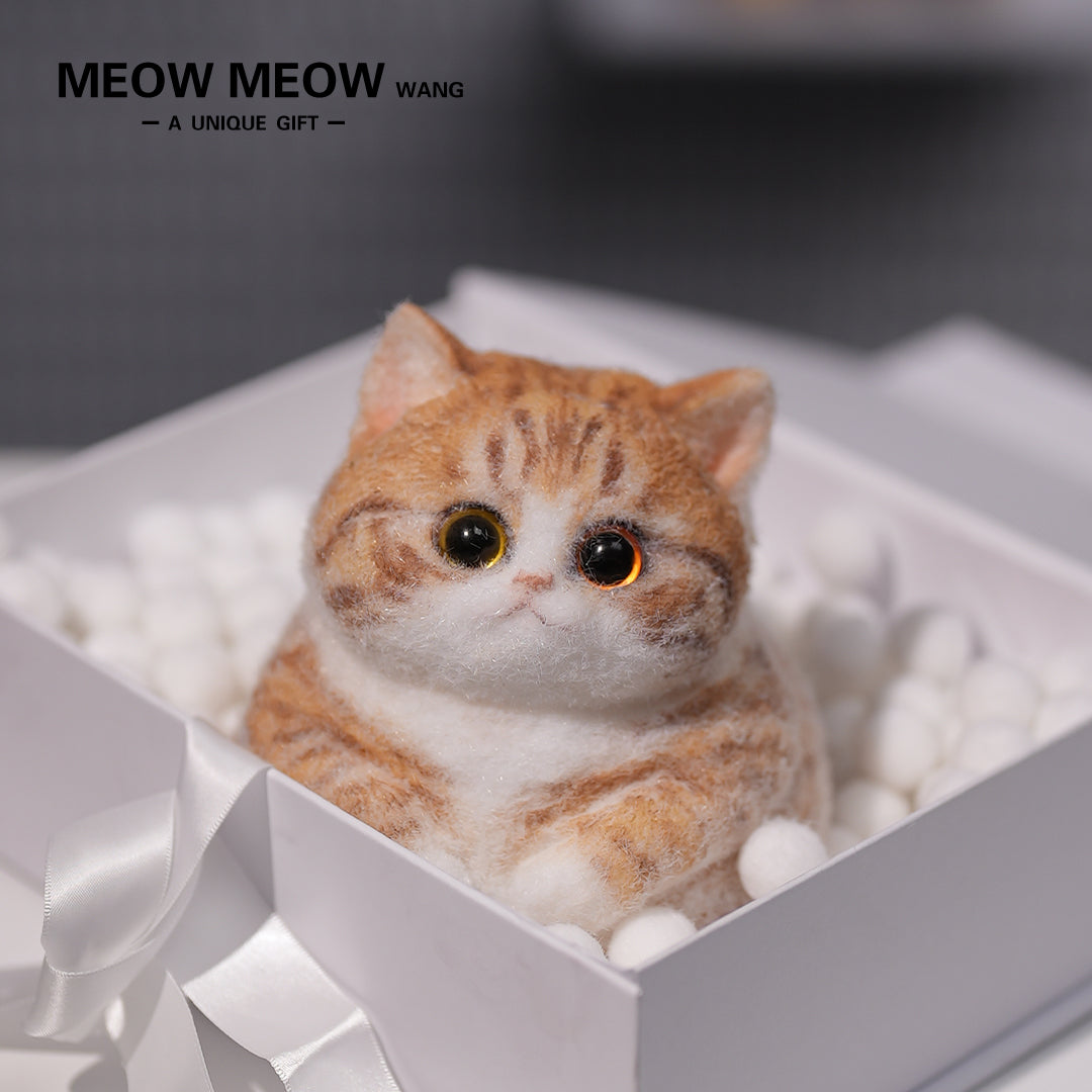 C08:Super Cute Fluffy Orange Cat