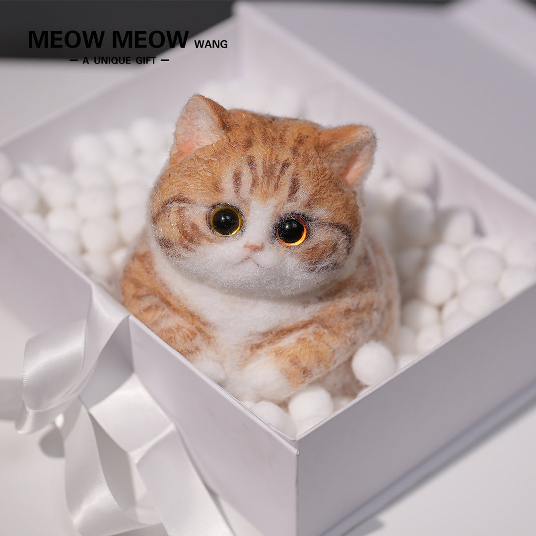 C08:Super Cute Fluffy Orange Cat