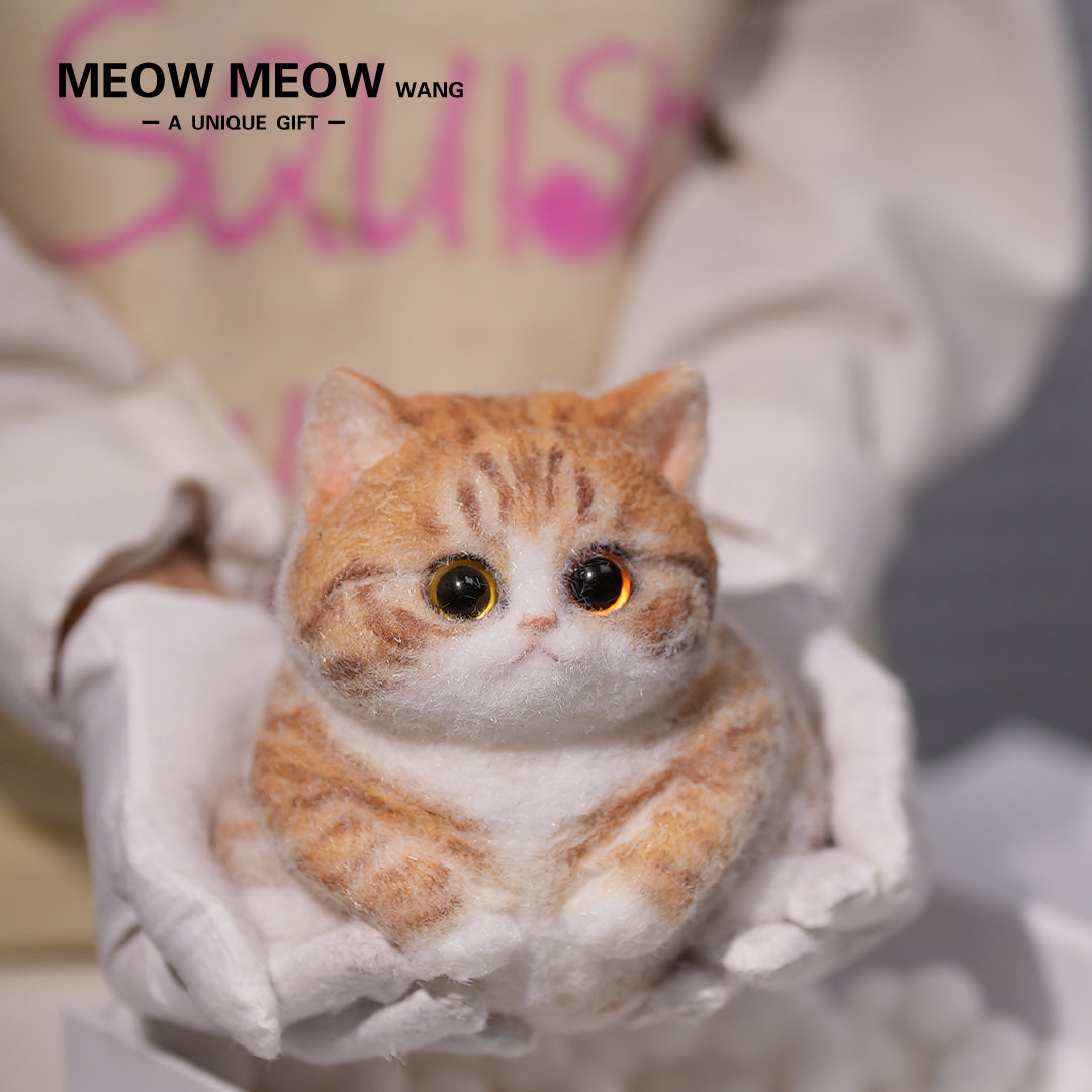 C08:Super Cute Fluffy Orange Cat