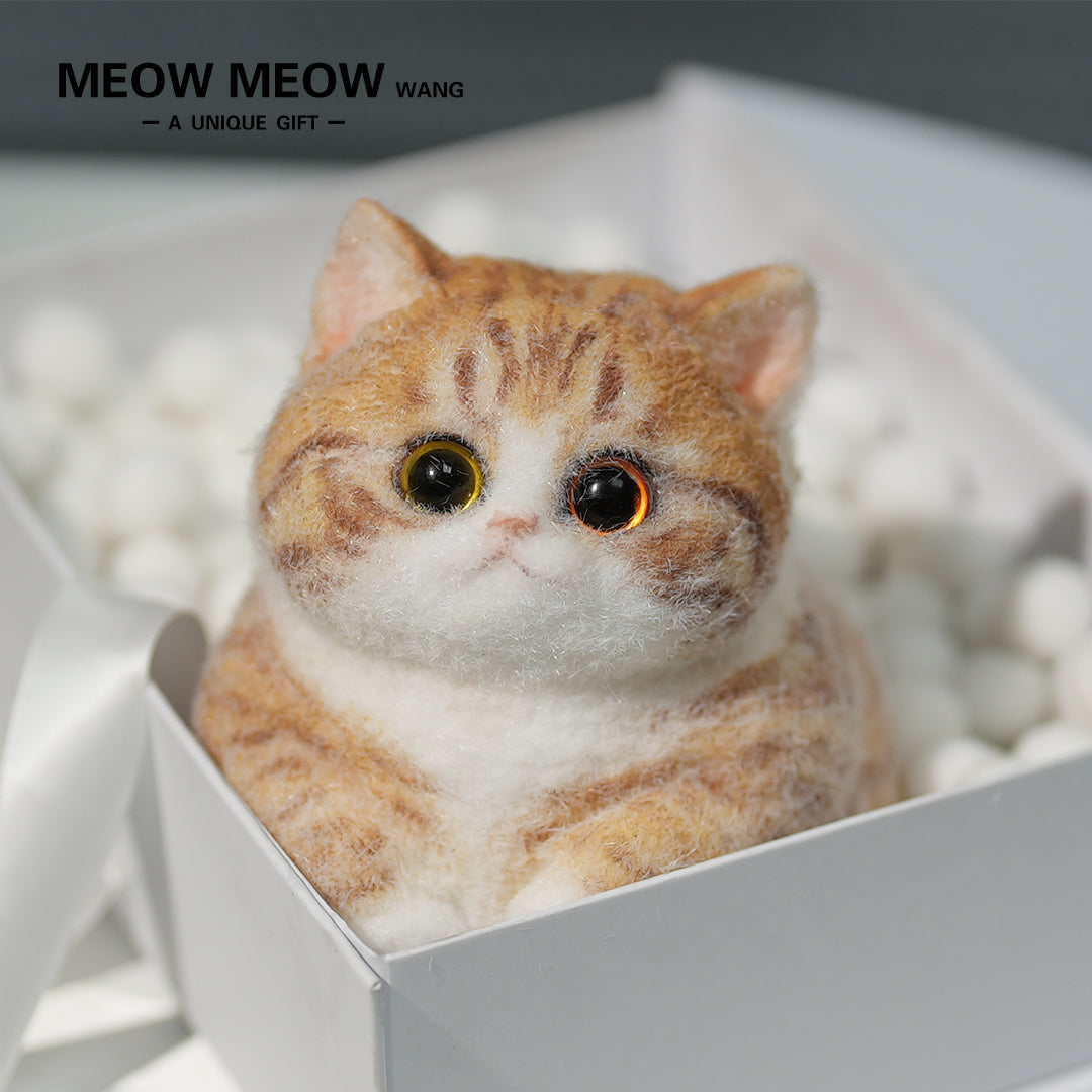 C08:Super Cute Fluffy Orange Cat