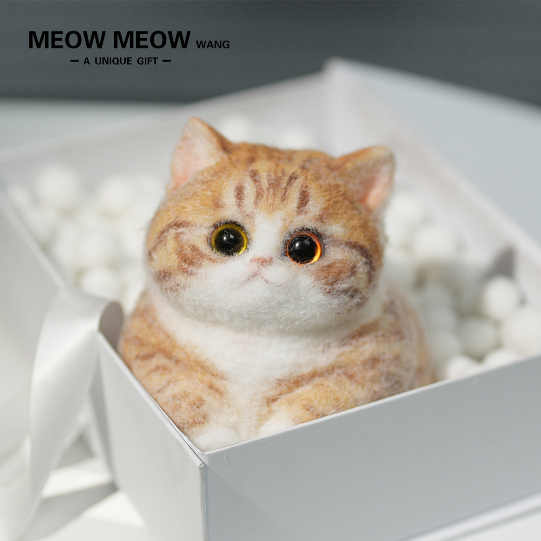 C08:Super Cute Fluffy Orange Cat