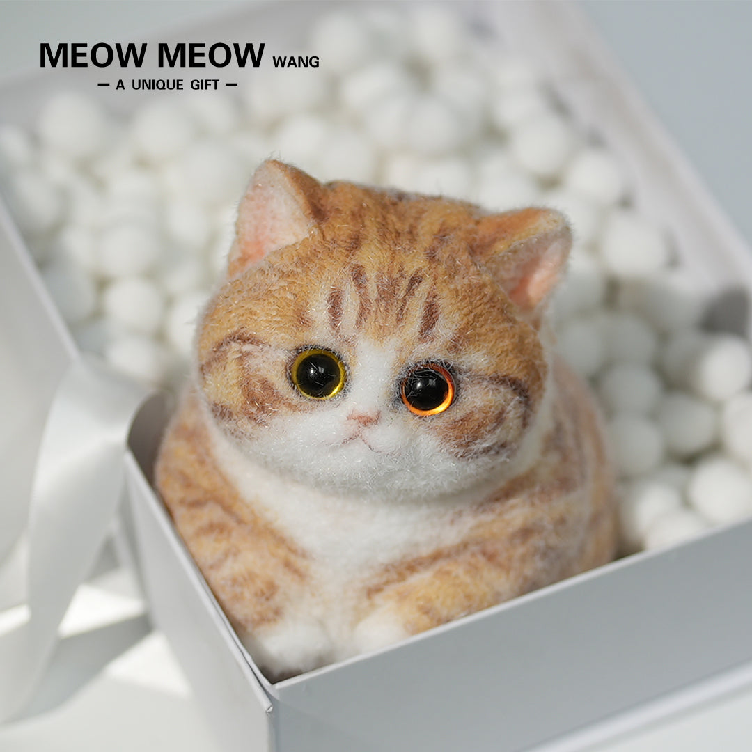 C08:Super Cute Fluffy Orange Cat