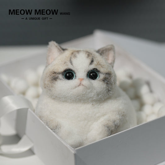 C14:Chubby, fluffy, black and white with pink nose Squishy Ragdoll cat