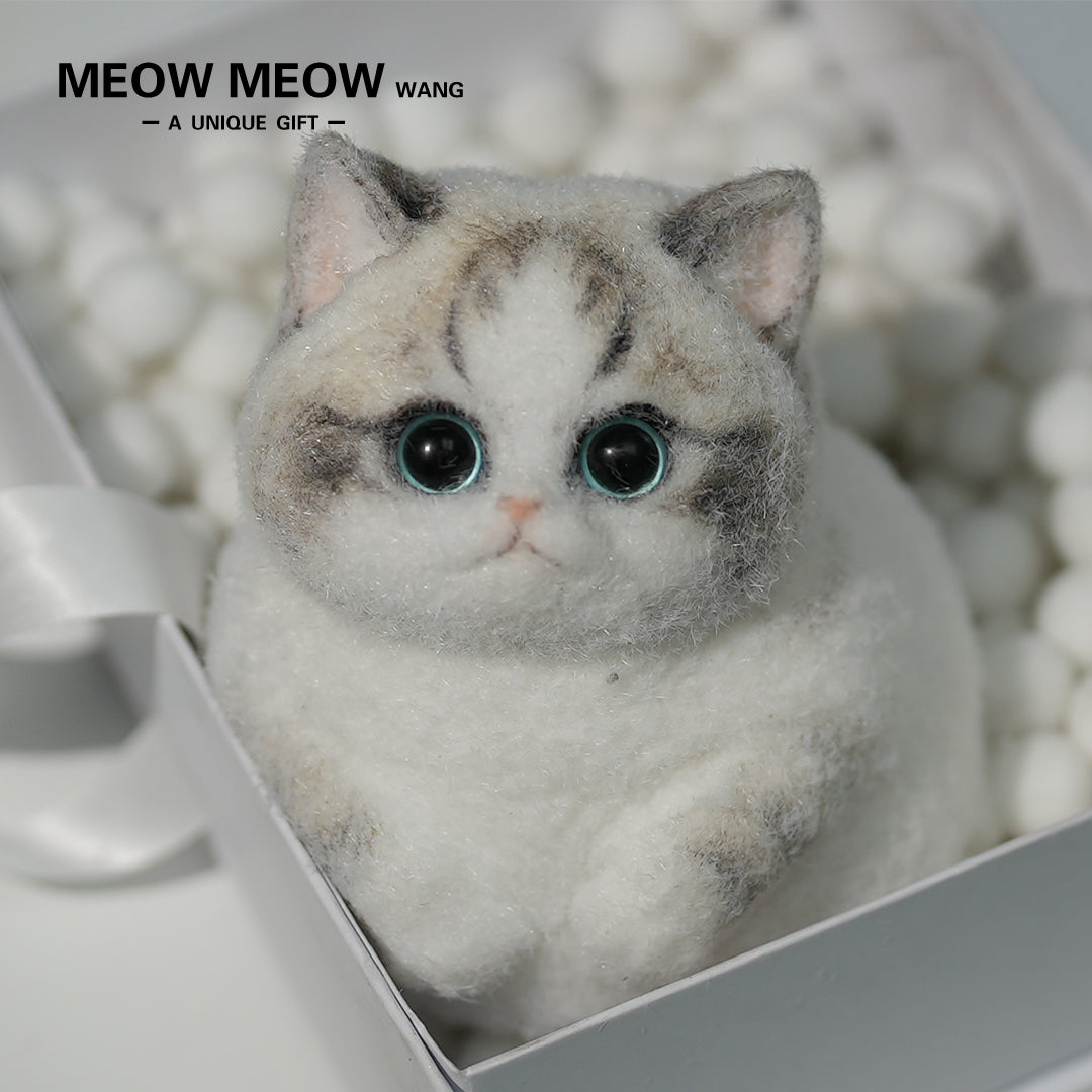 C14:Chubby, fluffy, black and white with pink nose Squishy Ragdoll cat