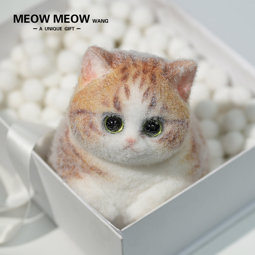 C09:Rare Fat Orange Cat With Green Eyes