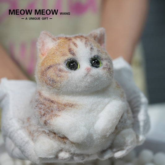 C09:Rare Fat Orange Cat With Green Eyes