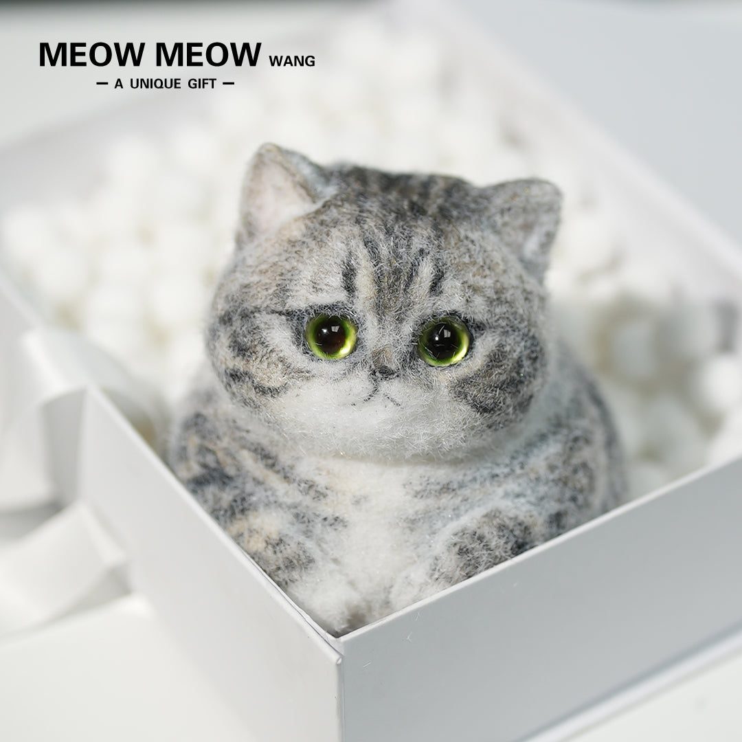 C10:Cute And Chubby Cat