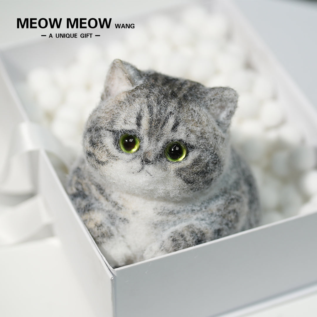 C10:Cute And Chubby Cat