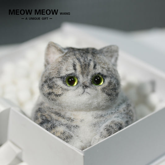 C10:Cute And Chubby Cat