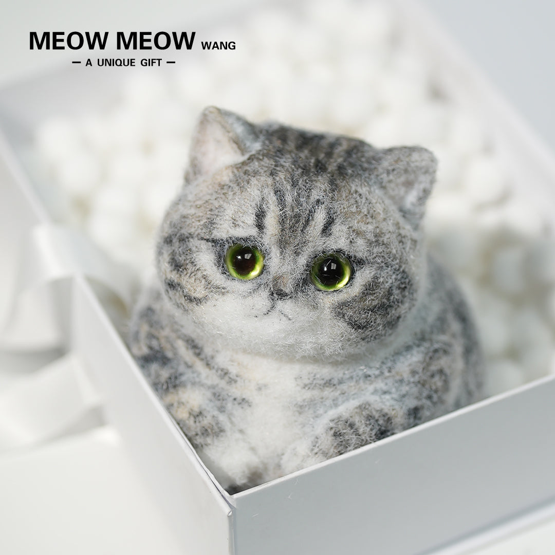 C10:Cute And Chubby Cat