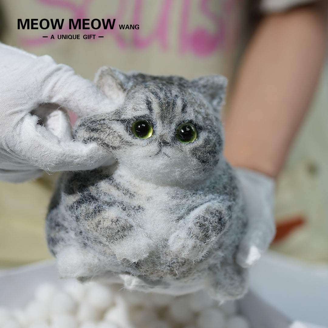 C10:Cute And Chubby Cat