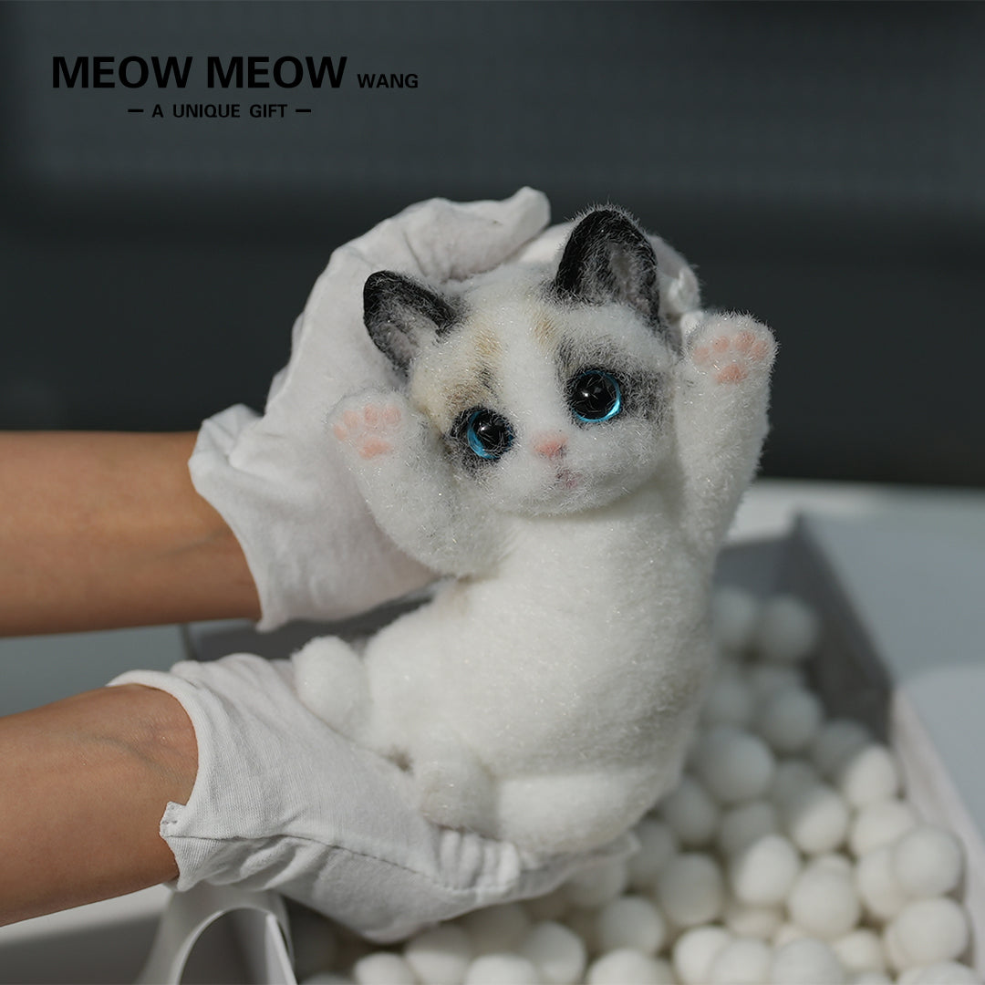 A06:Cute Ragdoll Squishy Cat