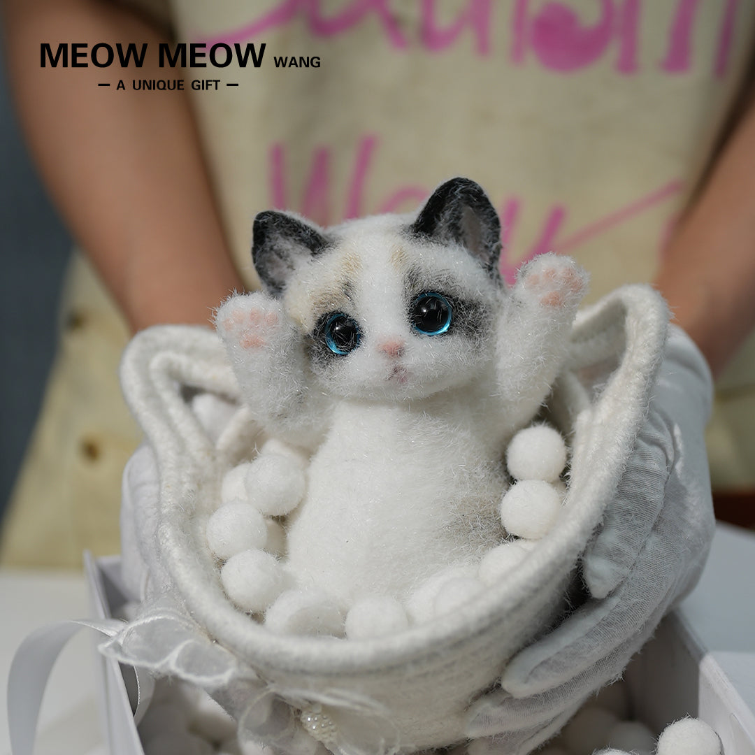 A06:Cute Ragdoll Squishy Cat