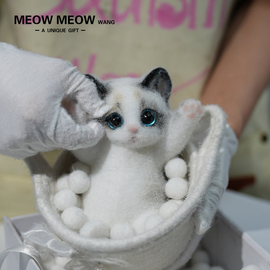 A06:Cute Ragdoll Squishy Cat