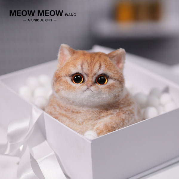 C05:Cute Angry Chubby Squishy Cat
