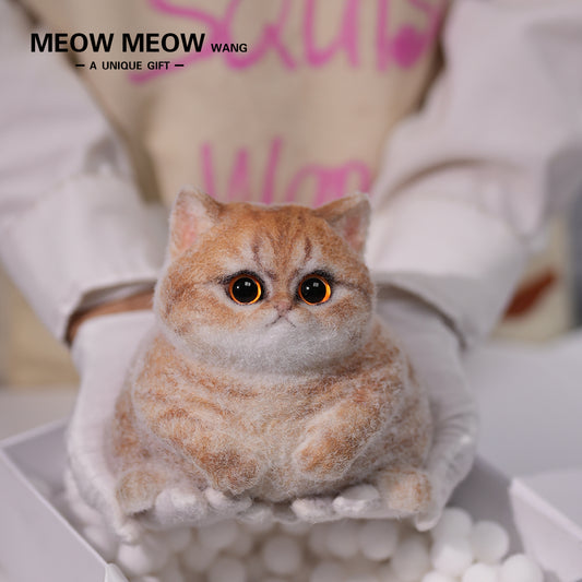 C13:Cute Angry Cat