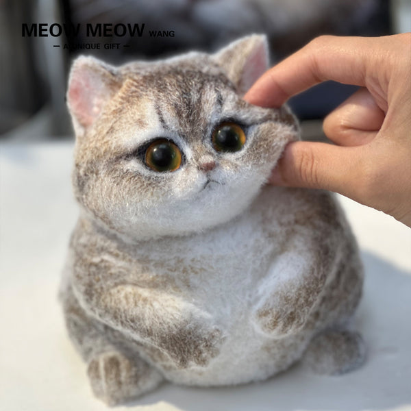 A06:Cute Blue-gold Chubby Cat With Green Eyes