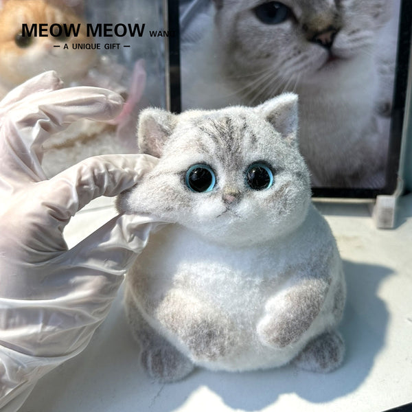 A03:Chubby British Shorthair Golden Shaded Squishy Cat